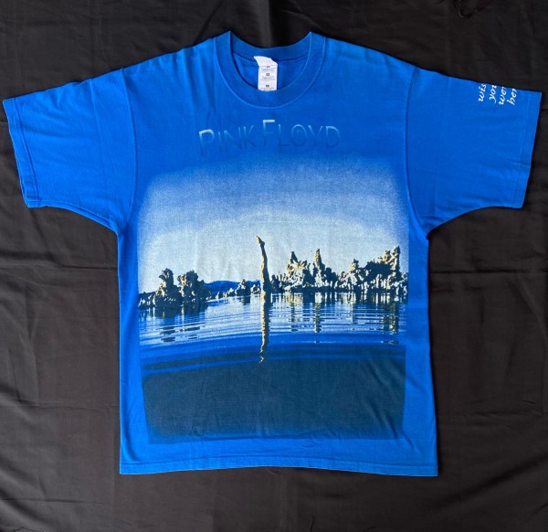 Pink floyd Wish You Were Here Lofteez
