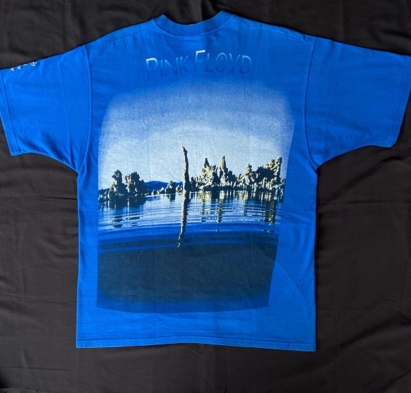 Pink floyd Wish You Were Here Lofteez