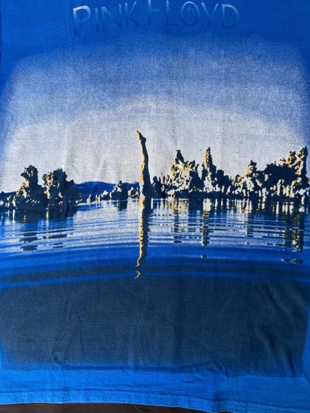 Pink floyd Wish You Were Here Lofteez