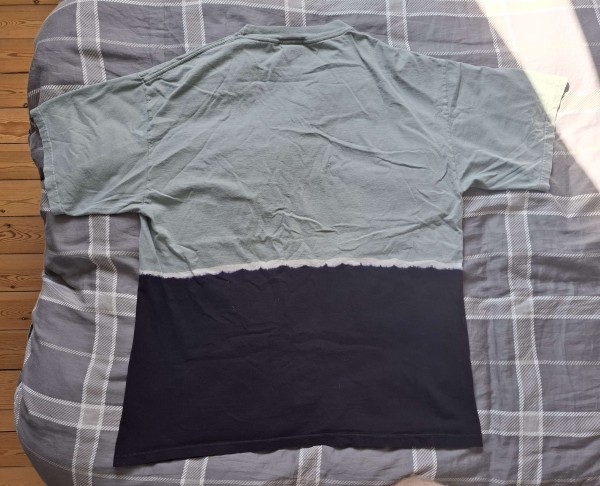 Hello I need a Legit check on a KORN Giant T shirt From 1998