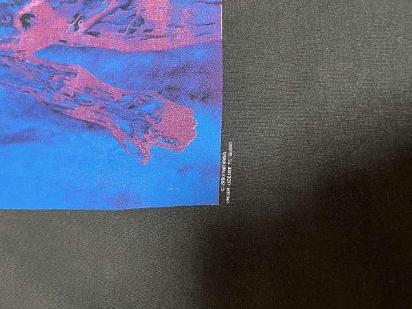 Vintage Nirvana sliver legit check