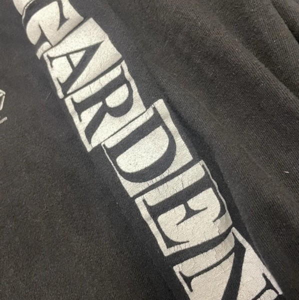 soundgarden hooded long sleeve legit check