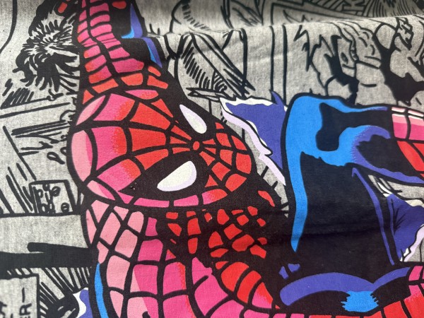 1996 AOP Spider-Man