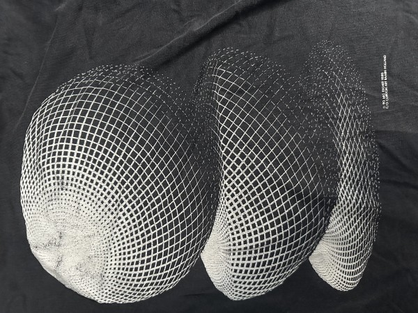 close up back graphic