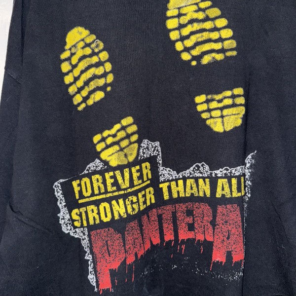 1995 Pantera L/S Vulgar Display of Power Legit Check