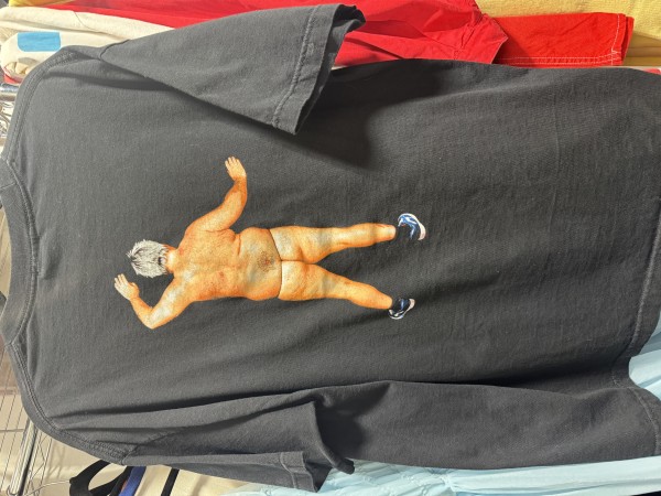 vintage the offspring shirt?