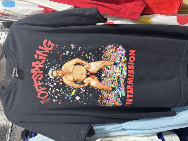 vintage the offspring shirt price?