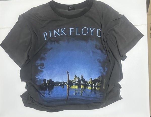 Pink Floyd “ Wish You Were Here “ Legit Check