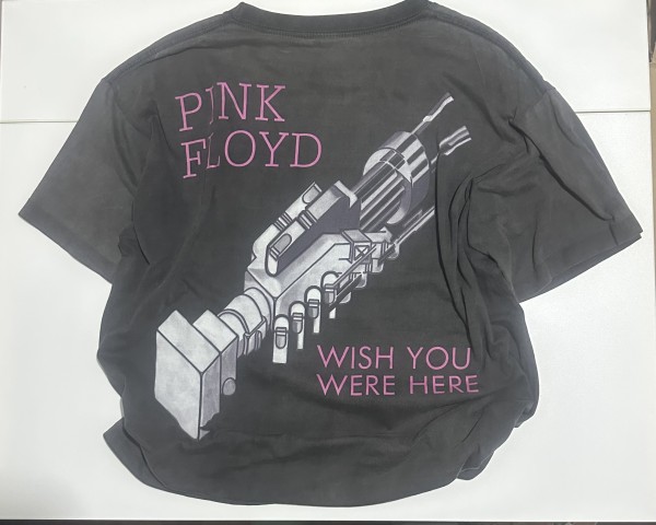 Pink Floyd “ Wish You Were Here “ Legit Check