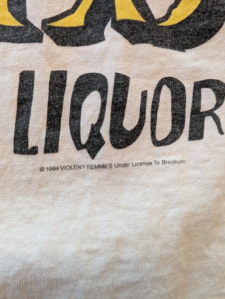 Violent Femmes Don't Start me on the Liquor