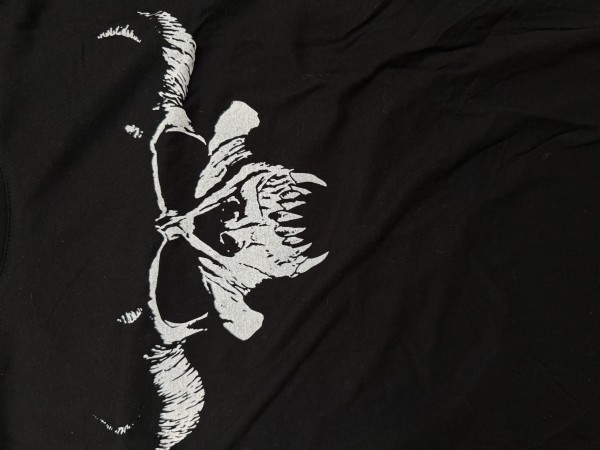 Vintage DANZIG Not Of This World Tour 89 T Shirt