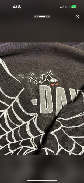2000s Harley Spider LS