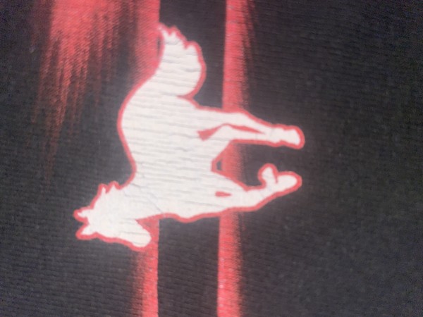 Deftones 2000’s White Pony tee