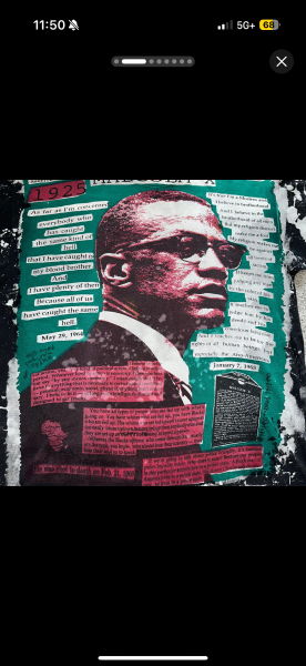 Mosquitohead Malcolm X tee, size XL