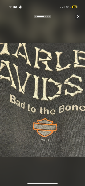 Harley Bad to the bone Longsleeve