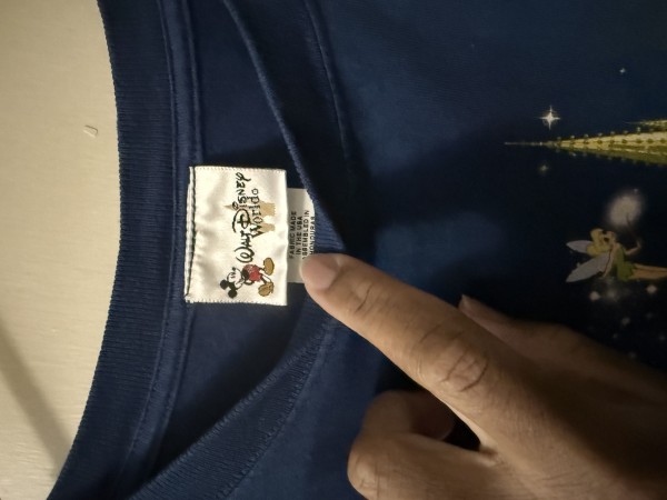 Disneyworld Tie-dye