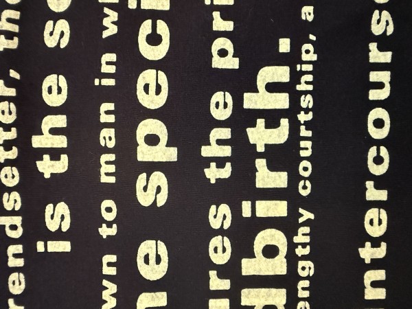 Vintage Nirvana Seahorse T Shirt