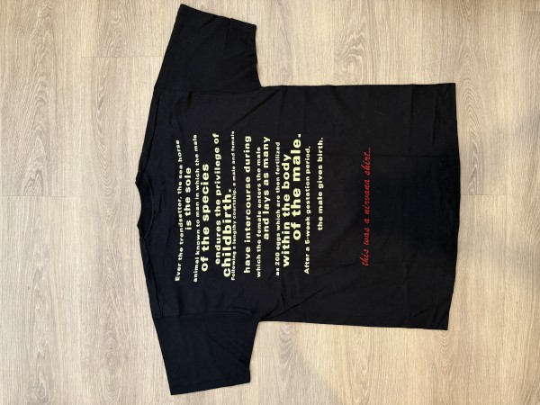 Vintage Nirvana Seahorse T Shirt