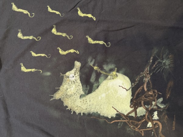 Vintage Nirvana Seahorse T Shirt