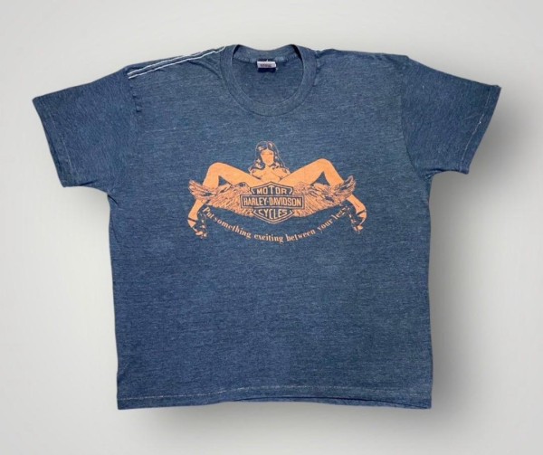 Any Info On This Put Something Exciting Harley tee?