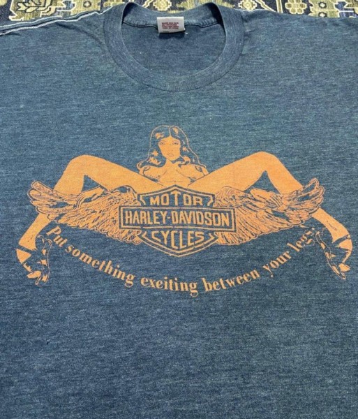 Any Info On This Put Something Exciting Harley tee?