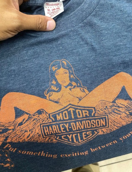 Any Info On This Put Something Exciting Harley tee?
