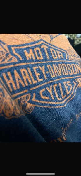 Any Info On This Put Something Exciting Harley tee?