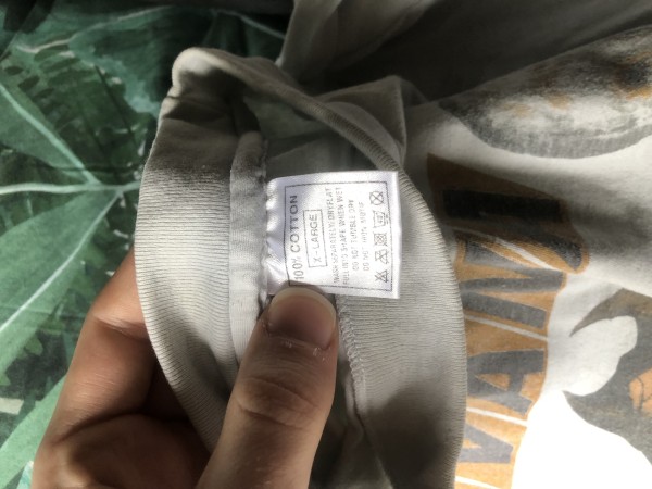 Nirvana incesticide tee