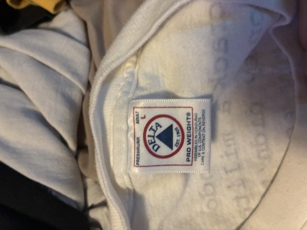 Is this bouncing souls 1996 delta tee real?
