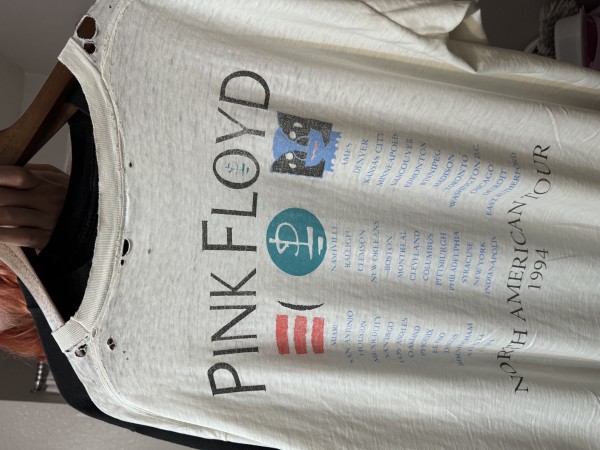 Pink Floyd band authentication