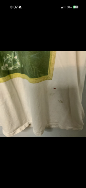 1994 Alice In Chains Jar of flies size large