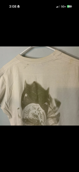 1994 Alice In Chains Jar of flies size large