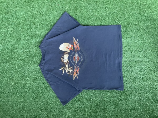 Need help with unusual Harley tag 3D Emblem/ACME