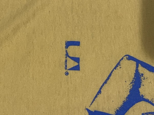 buzzcocks shirt