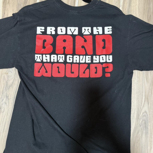 Alice In Chains "From The Band That Gave You Would" Promo Shirt