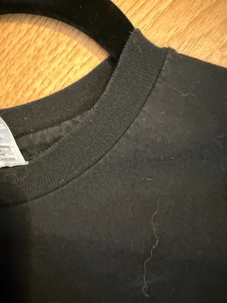 Alice In Chains "From The Band That Gave You Would" Promo Shirt