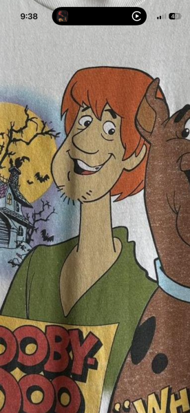 Scooby Doo Stanley Desantis 1994 Legit Check