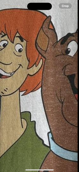 Scooby Doo Stanley Desantis 1994 Legit Check