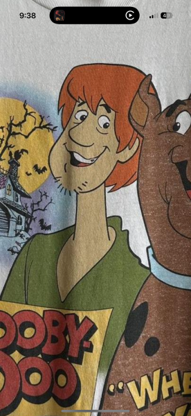 Scooby Doo Stanley Desantis 1994 Legit Check