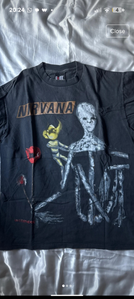 Nirvana insecticide