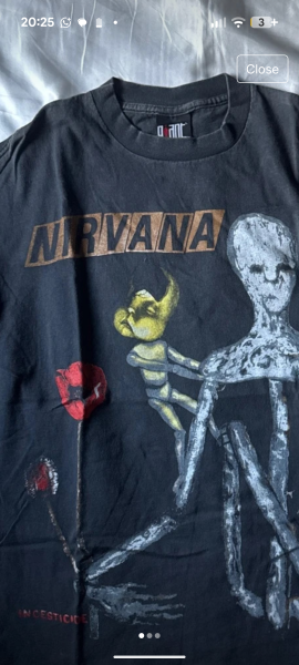 Nirvana insecticide