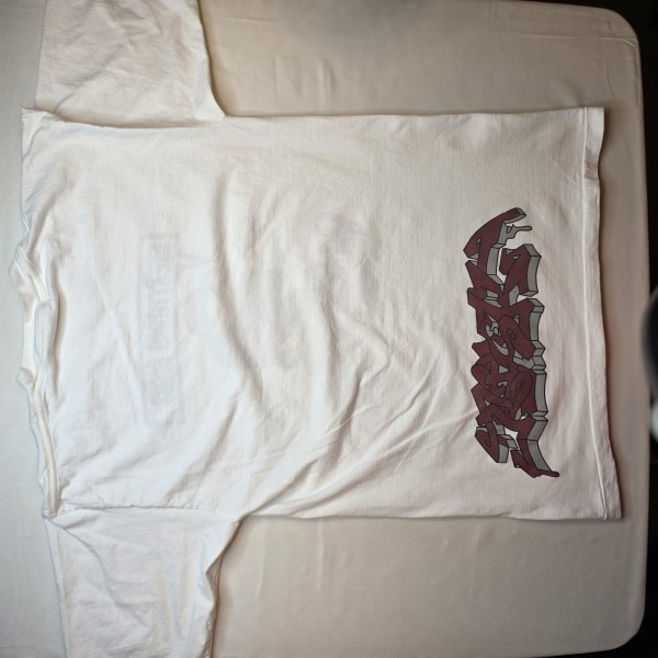1991 Powell Peralta “Everything Sucks…” T-Shirt with Back hit