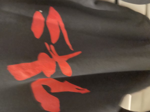 Vintage Akira Sweatshirt