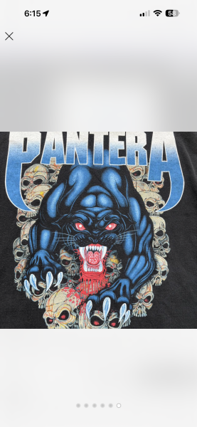 Pantera Tennessee river check