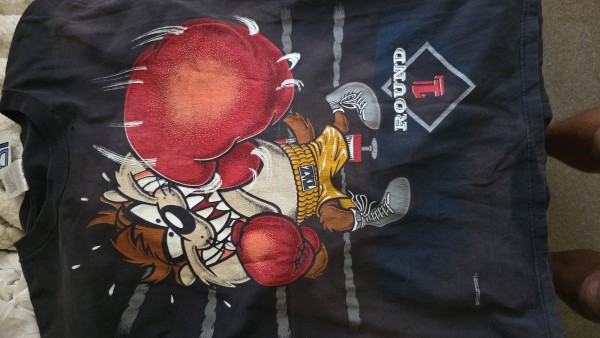 Boxing Taz Vintage looney tunes on Tultex