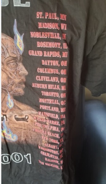 Legit Check Vintage Tool 2001 large concert tour shirt