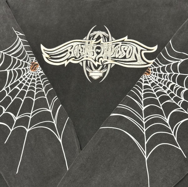 Spider web Harley