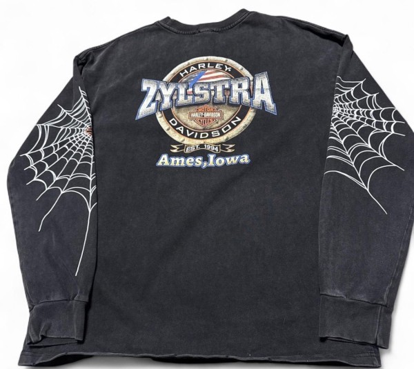 Spider web Harley