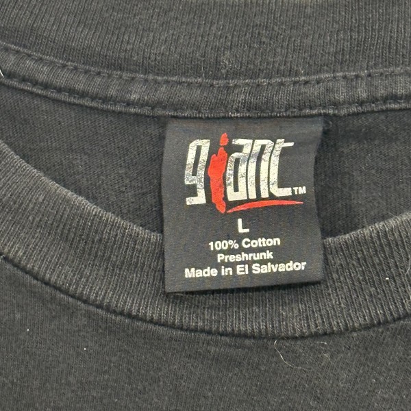 Real tool Aenima shirt?