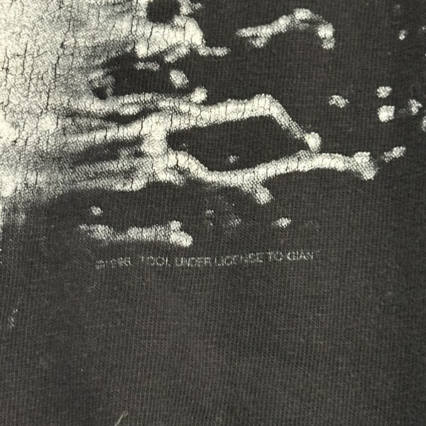 Real tool Aenima shirt?